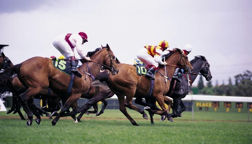 Glossário de Apostas das Melhores Casas de Apostas Online Betsson Brasil e Bet365 Apostas Esportivas